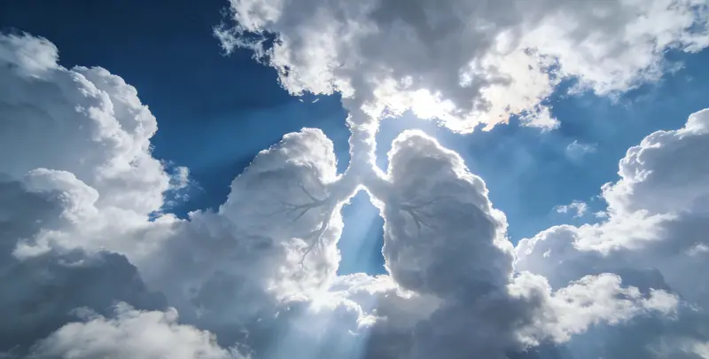 甘孜肺癌8基因突变检测（组织）图片1