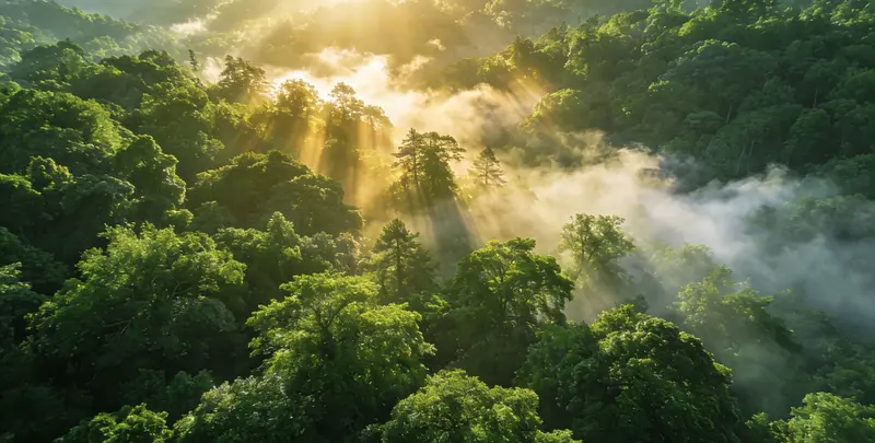 甘孜肺癌靶向39基因检测及PDL122C3表达检测套餐（组织）图片1
